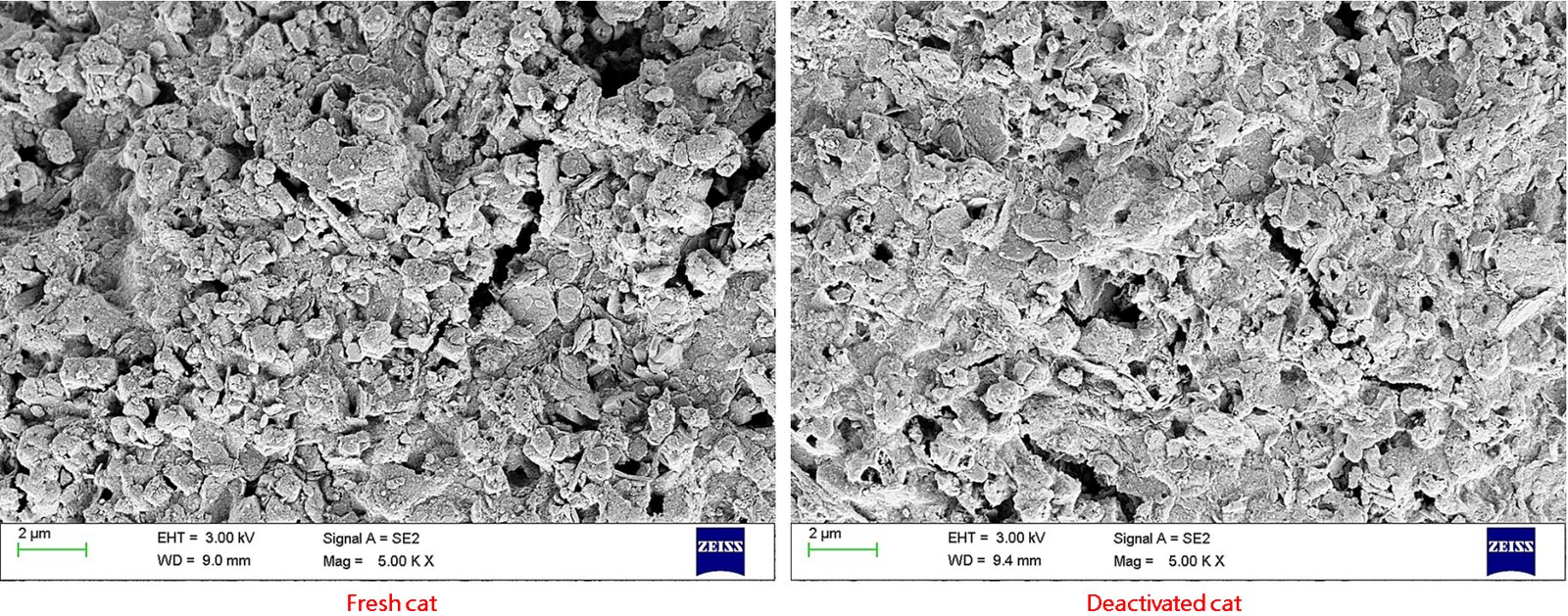 SEM micrographs of fresh and deactivated catalyst